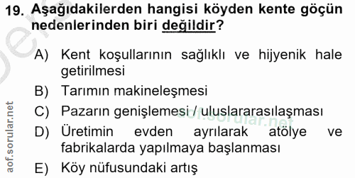 Soru 19