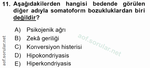 Soru 11