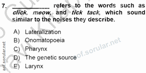 Soru 7