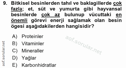 Soru 9