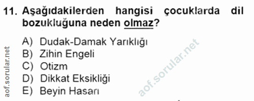 Soru 11