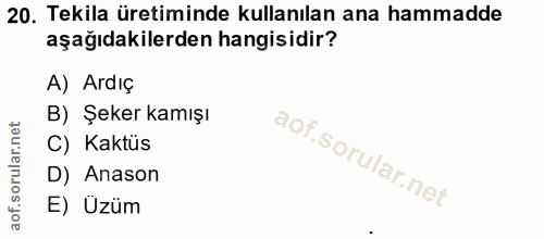 Soru 20