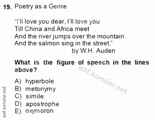 Soru 19