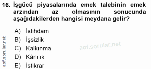 Soru 16