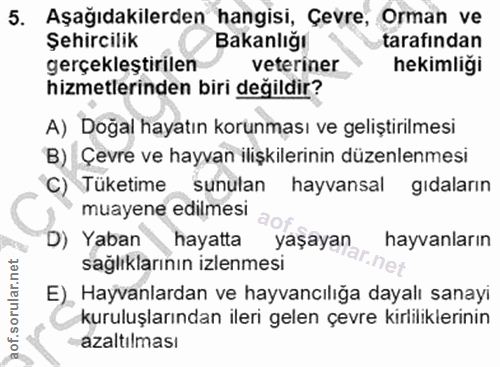Soru 5
