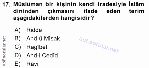 Soru 17