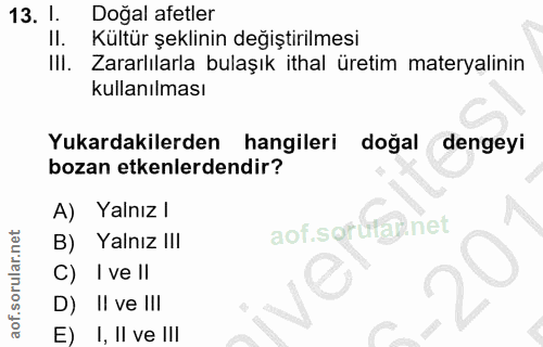 Soru 13