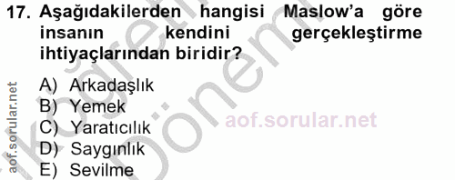Soru 17