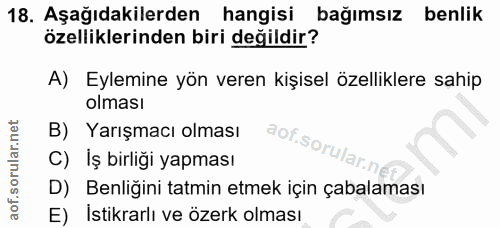 Soru 18