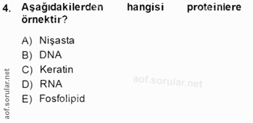 Soru 4