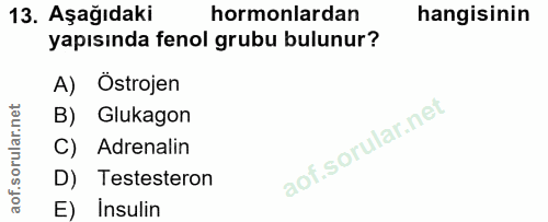 Soru 13