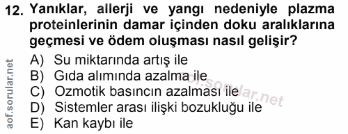 Soru 12