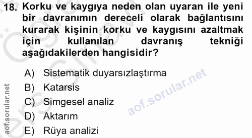 Soru 18