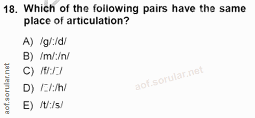 Soru 18