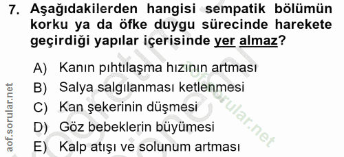 Soru 7
