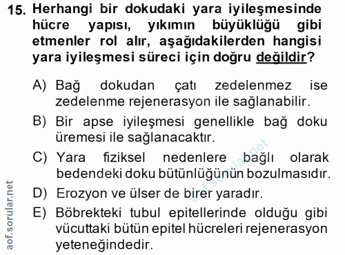 Soru 15