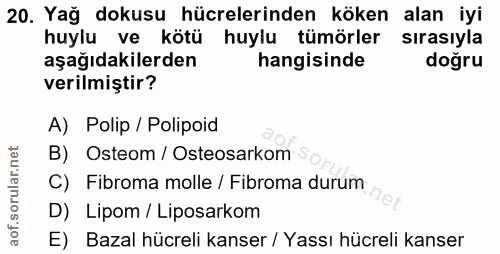 Soru 20