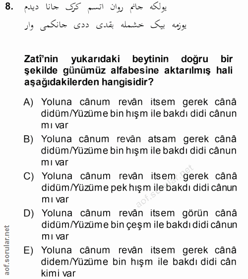 Soru 8