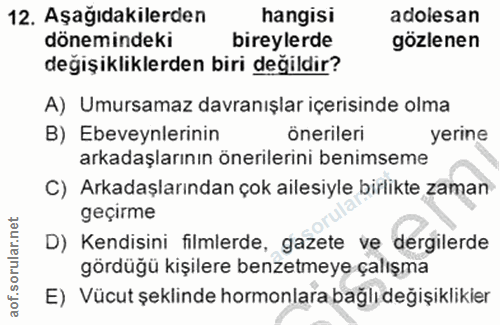 Soru 12