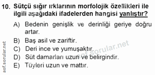 Soru 10