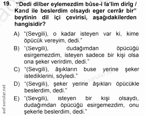 Soru 19