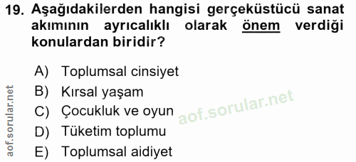 Soru 19