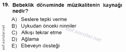 Soru 19