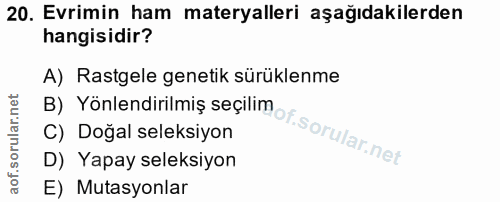 Soru 20