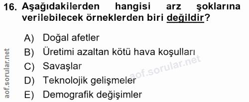 Soru 16