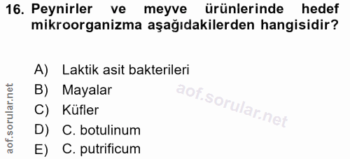 Soru 16