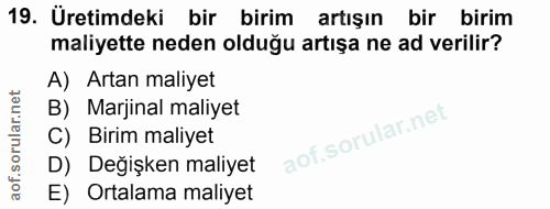 Soru 19