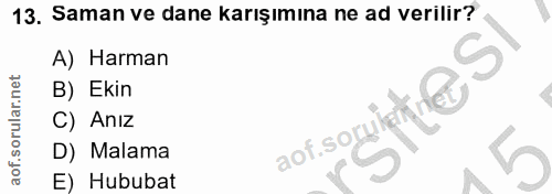 Soru 13