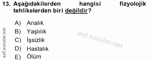 Soru 13