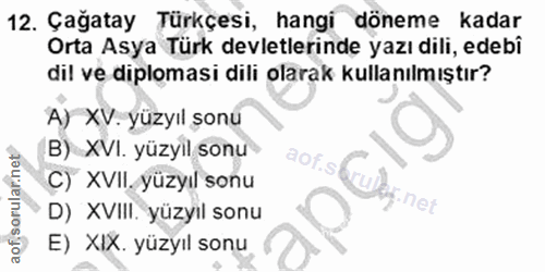 Soru 12