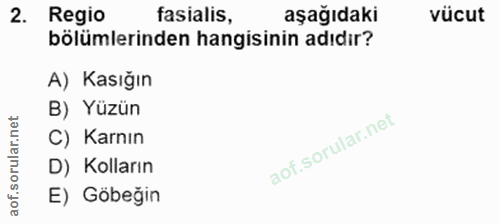 Soru 2