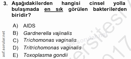 Soru 3