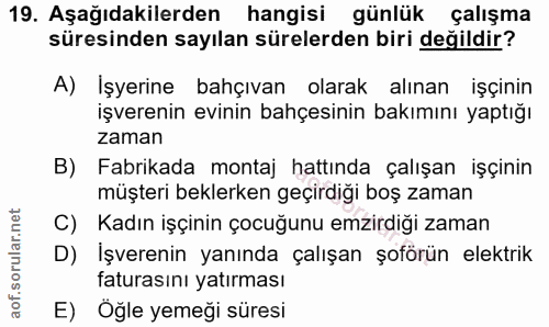 Soru 19