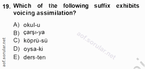 Soru 19