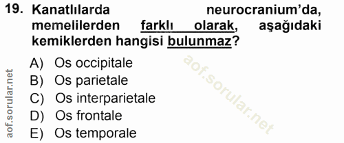 Soru 19