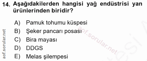 Soru 14