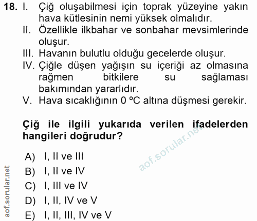 Soru 18