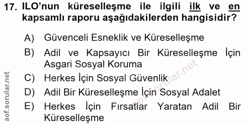 Soru 17