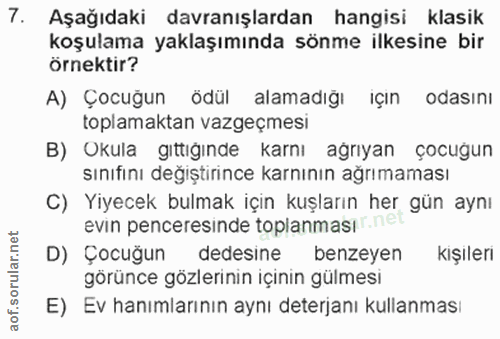 Soru 7