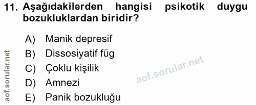 Soru 11