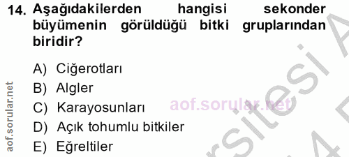 Soru 14