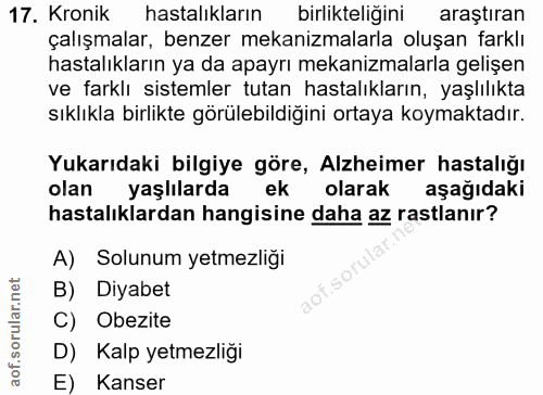Soru 17