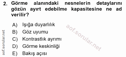 Soru 2