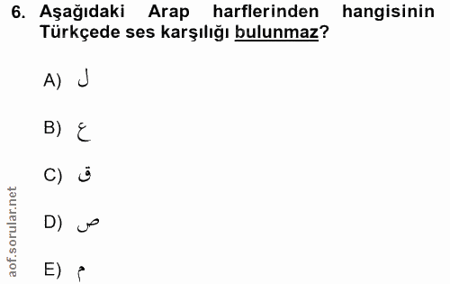 Soru 6