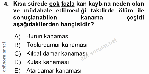 Soru 4