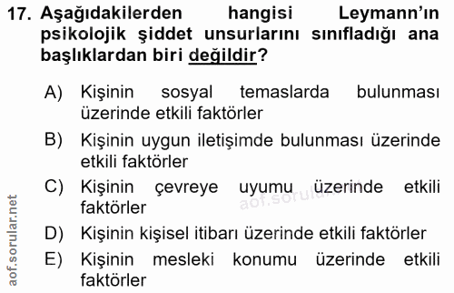Soru 17